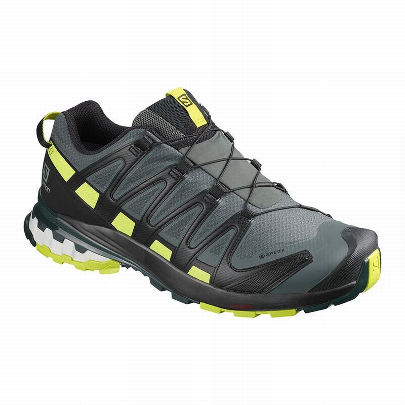 Zapatillas Trail Running Salomon Hombre Negras / Verde Claro - Salomon Argentina XA PRO 3D V8 GORE-T